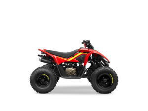 CFMOTO CFORCE 110 | Novo
